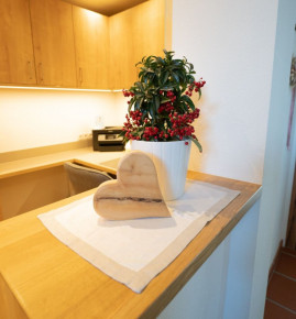 Haus Kössler – Ferienwohnungen & Zimmer in Radstadt, Salzburger Land, Ski amadé