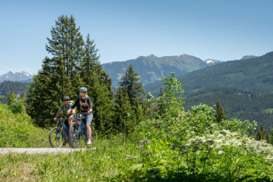 Mountainbiken im Sommerurlaub in Radstadt, Salzburger Land Mountainbiken im Sommerurlaub in Radstadt, Salzburger Land