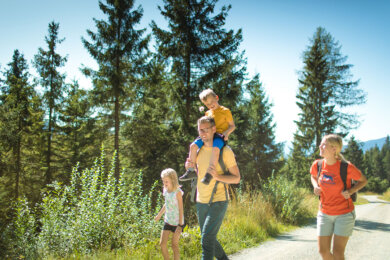 Wandern im Sommerurlaub in Radstadt, Salzburger Land Wandern im Sommerurlaub in Radstadt, Salzburger Land